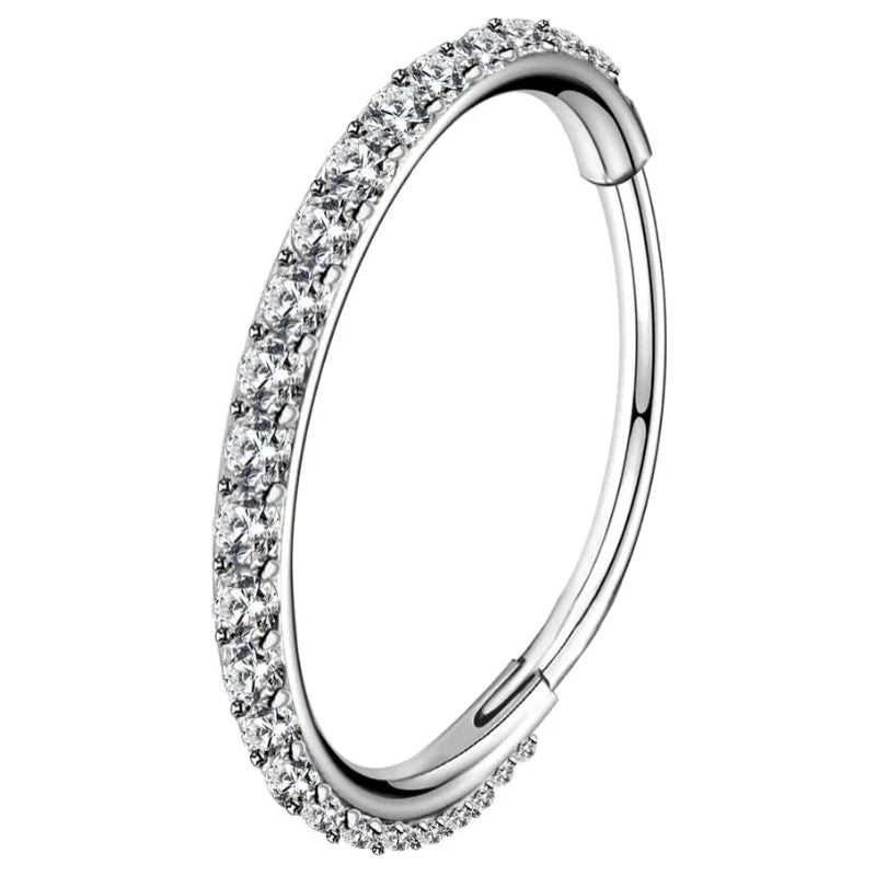 316L Stainless Steel Helix Earrings Cartilage Earring Hinged Segment Rings Hoop