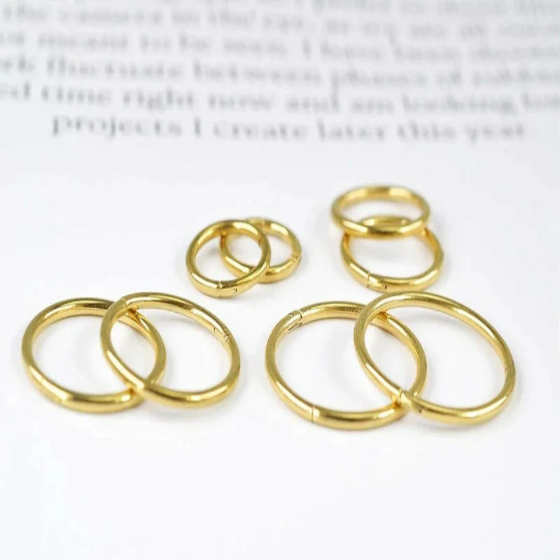 4Pairs 18G Surgical Steel Hinged Clicker Segment Nose Rings Hoop Helix Cartilage Daith Tragus Sleeper
