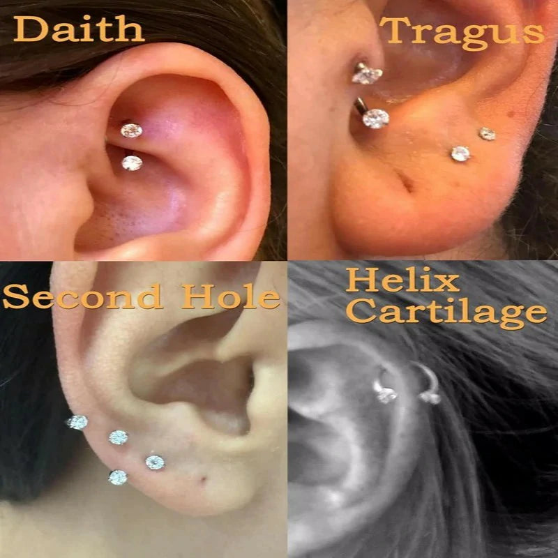 6mm 8mm 18g Horseshoe Double Gem Horse Shoe Nose Ring Hoop Surgical Steel Silver Cartilage Helix Tragus