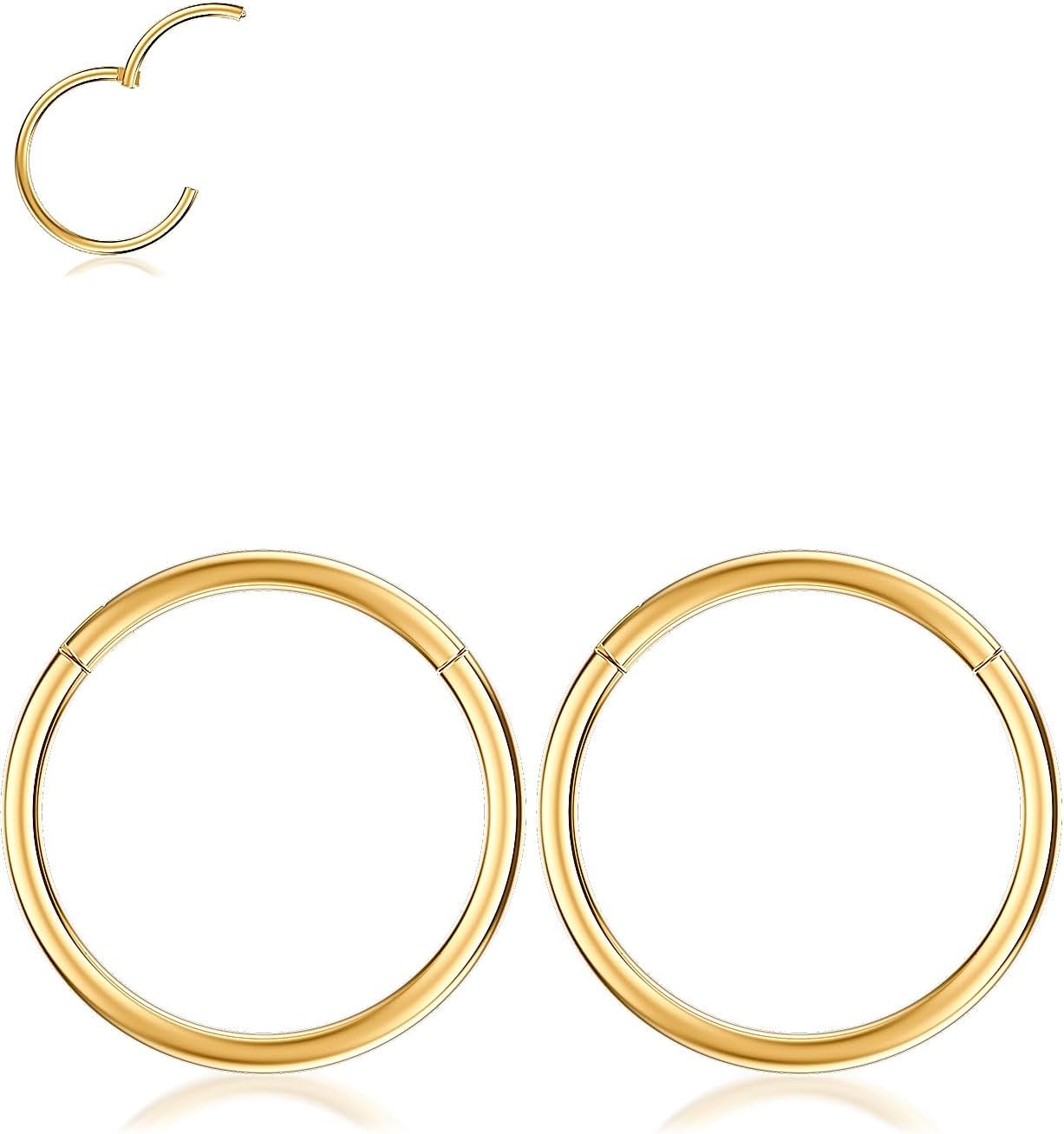 Nose Rings Hoop and Nose Studs Sets for Women Men,Hypoallergenic 316L Surgical Stainless Steel Hinged Clicker Segment Nose Rings Hoop Helix Cartilage Daith Tragus Sleeper Earrings Silver Gold Black L Shape/Corkscrew/Straight Nose Studs Real Body Piercing - QIAO CrystalQIAO CrystalQIAO Crystal