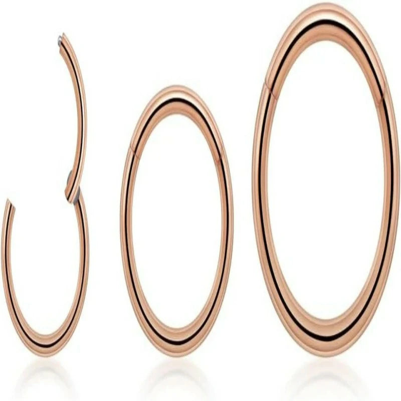 20G 18G Nose Rings Hoop and Nose Studs Sets Hinged Clicker Segment Nose Rings